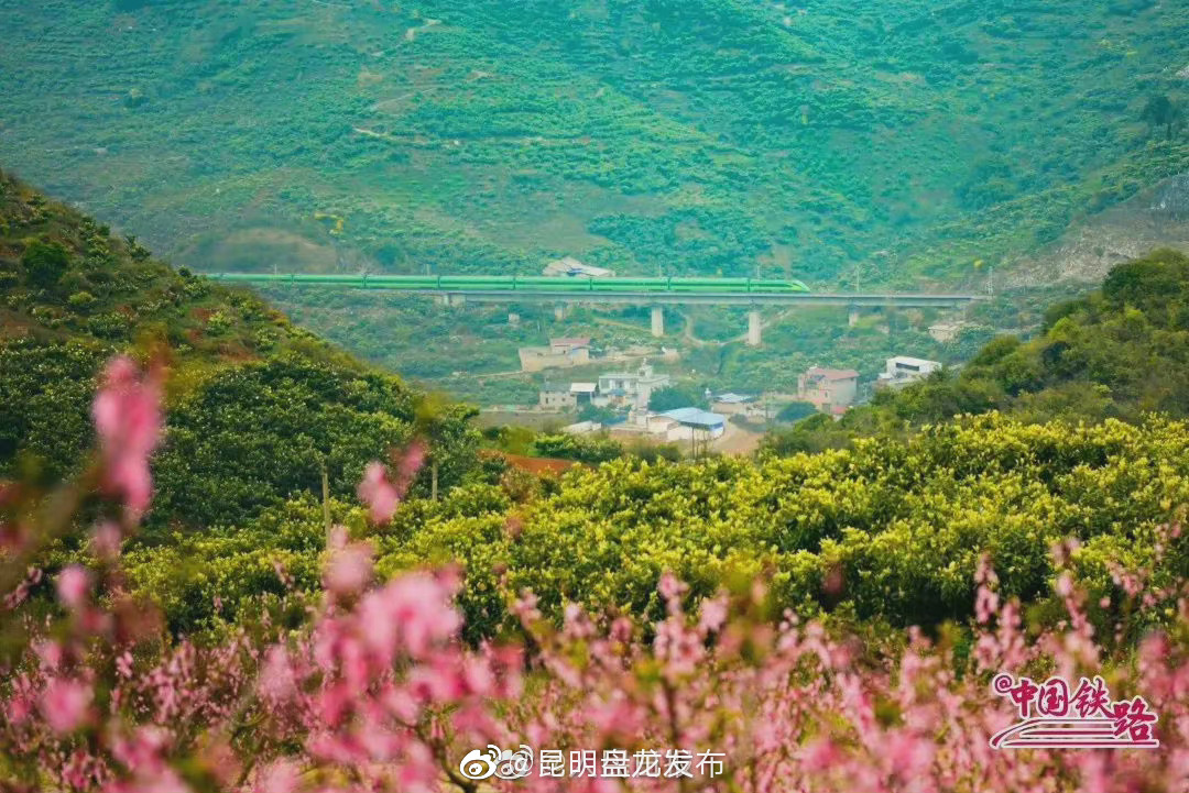 昆明盘龙发布