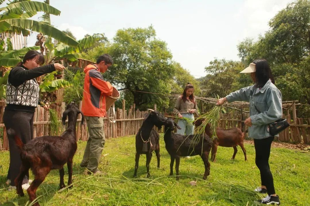 云南野生动物园