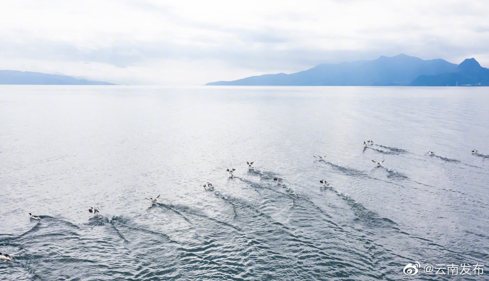 “云南发布”微博