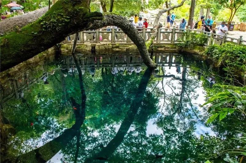 文旅云南