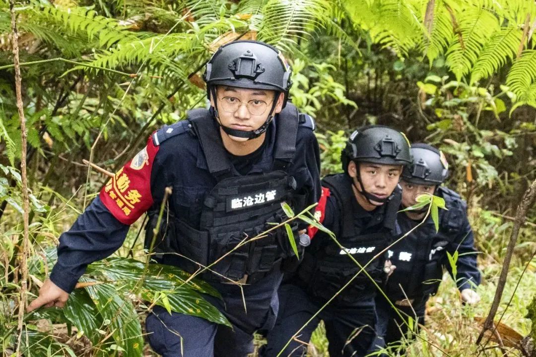 云南政法