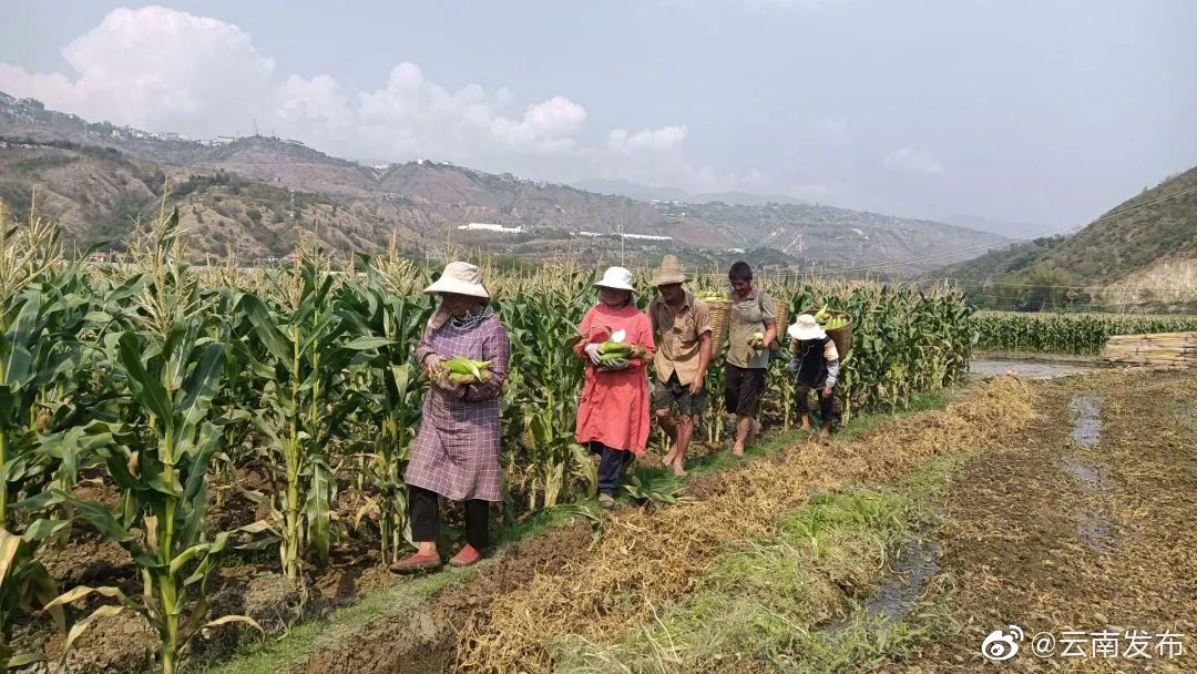 “云南发布”微博