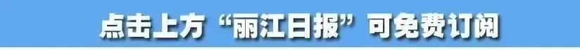 丽江日报