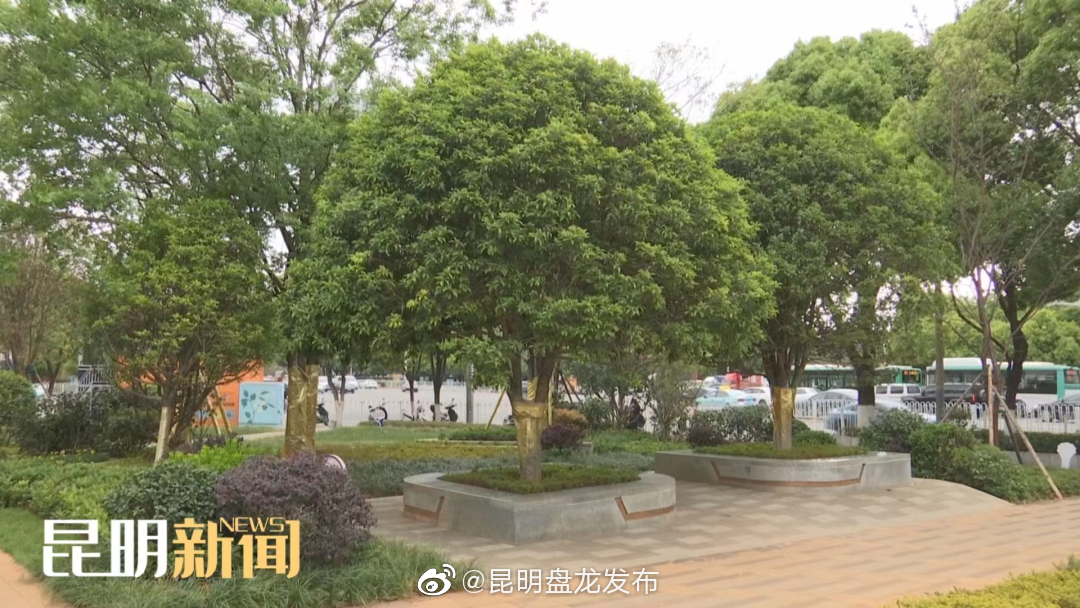 昆明盘龙发布