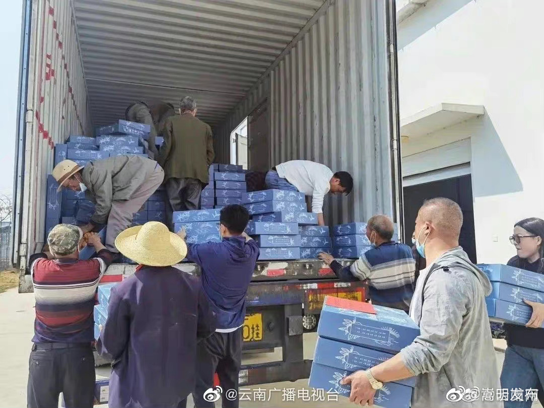 嵩明发布