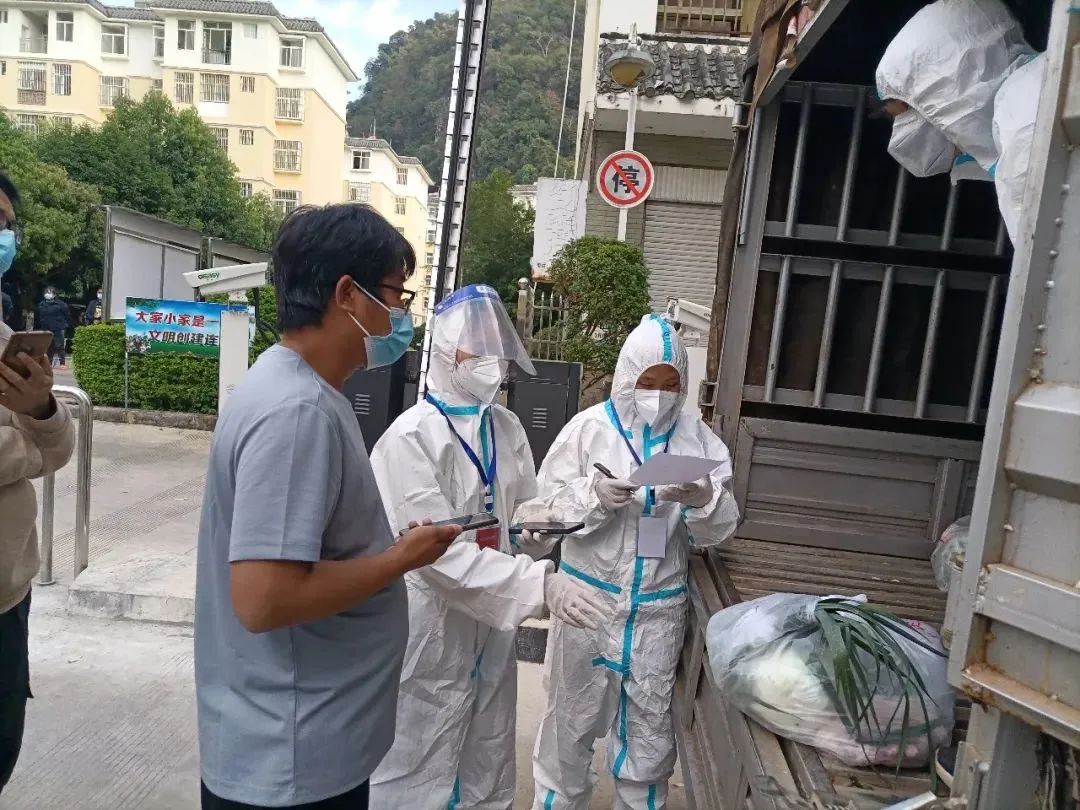云南政法