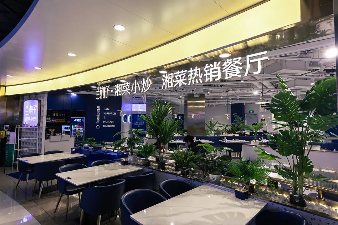 春城晚报