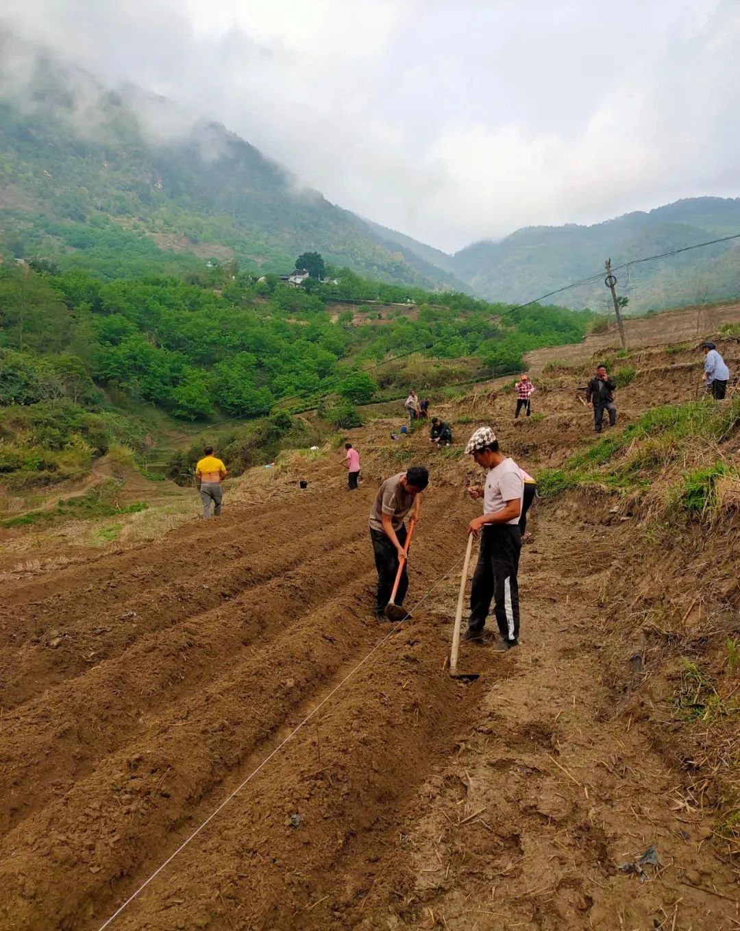 南涧党建彝乡先锋