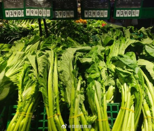 昆明信息港