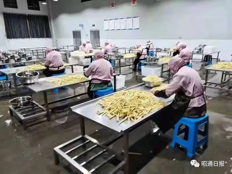 昭通日报