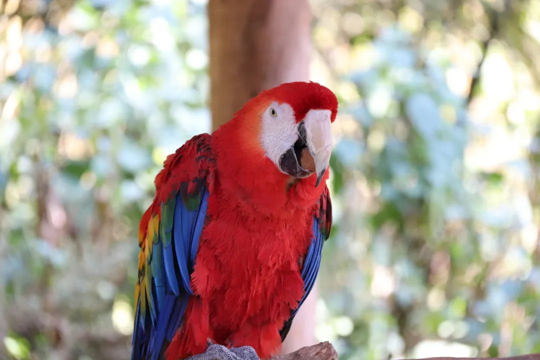 云南野生动物园