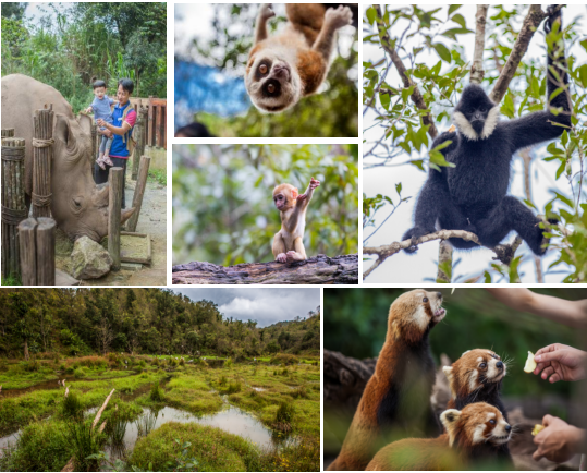 云南野生动物园
