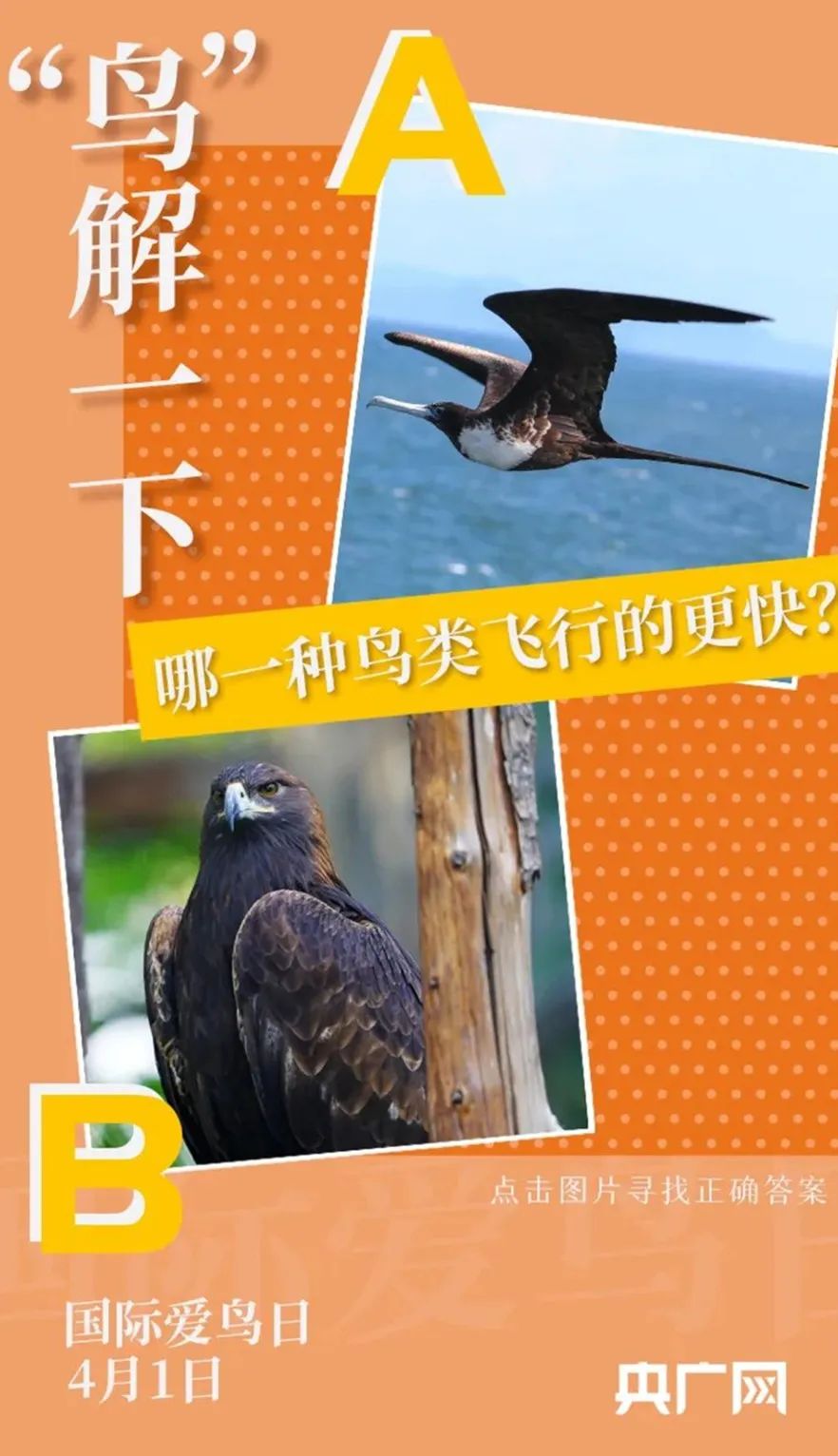美丽云南微科普