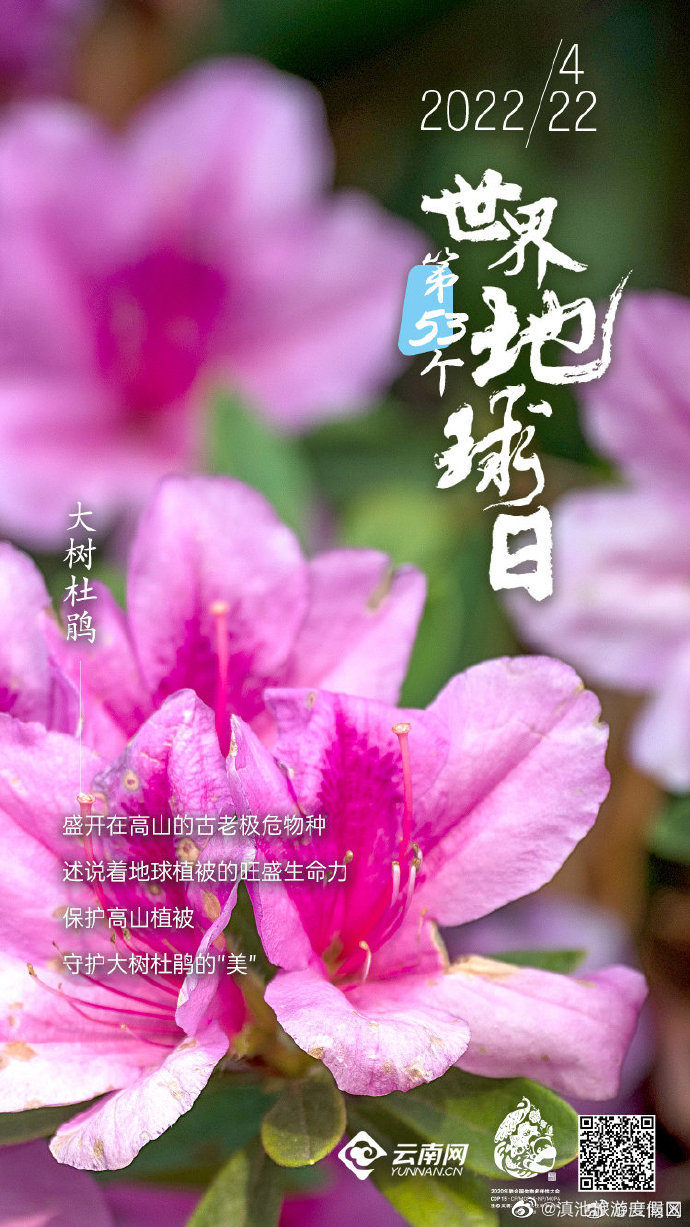 “滇池旅游度假区”微博