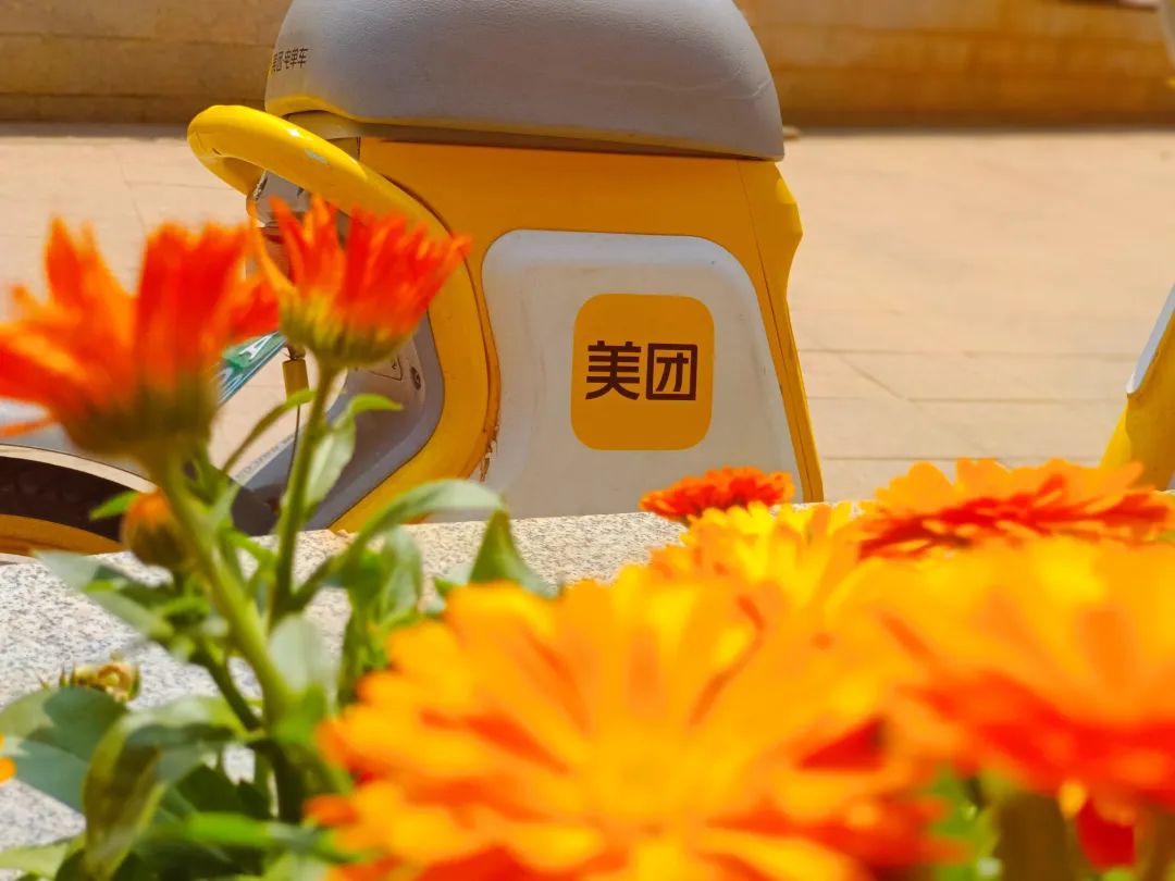 春城晚报