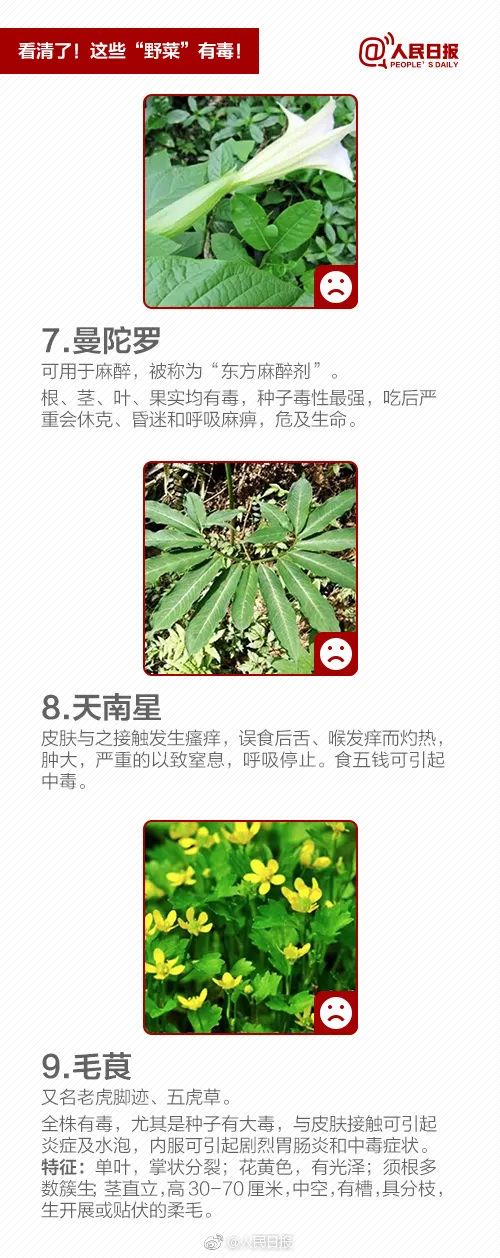 美丽云南微科普