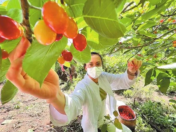昆明市农业农村局