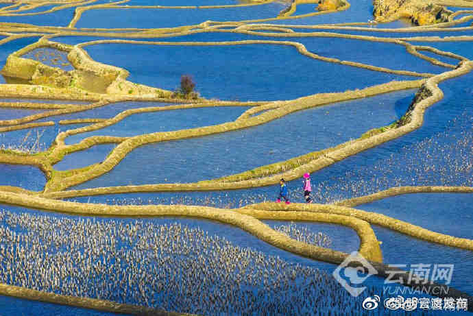 “昆明官渡发布”微博