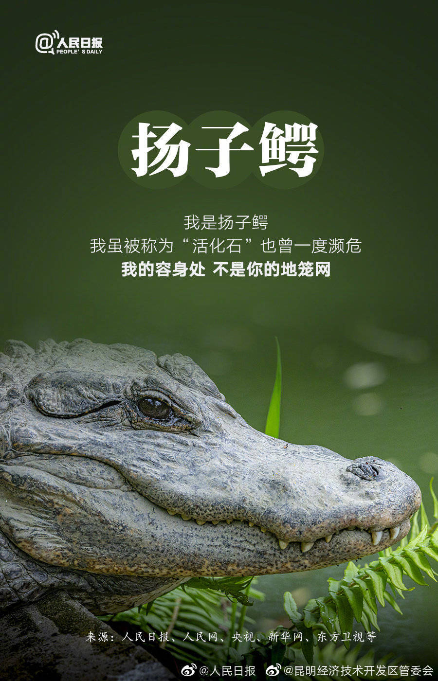 昆明经济技术开发区管委会