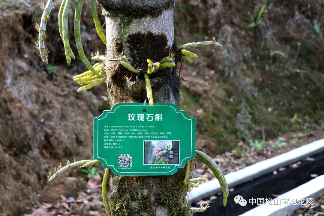 保山新闻网