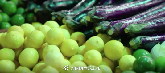 昆明盘龙发布