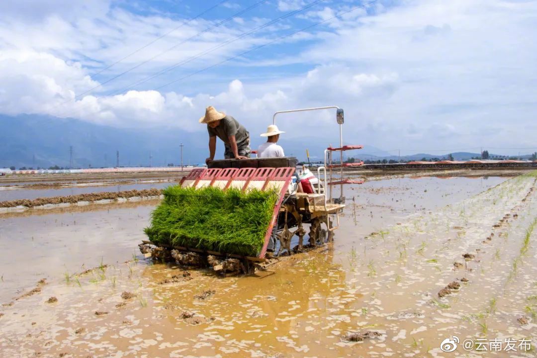 “云南发布”微博