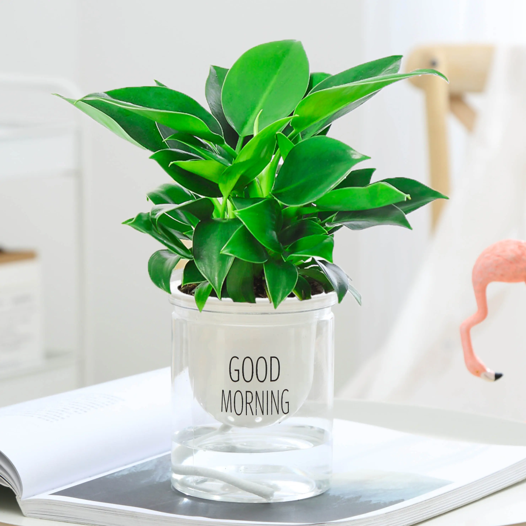 昆明滇池国家旅游度假区管理委员会(微信)