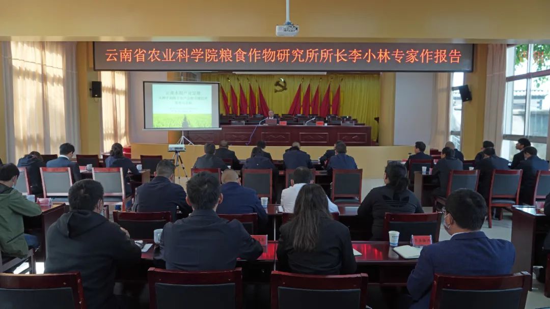 保山新闻网