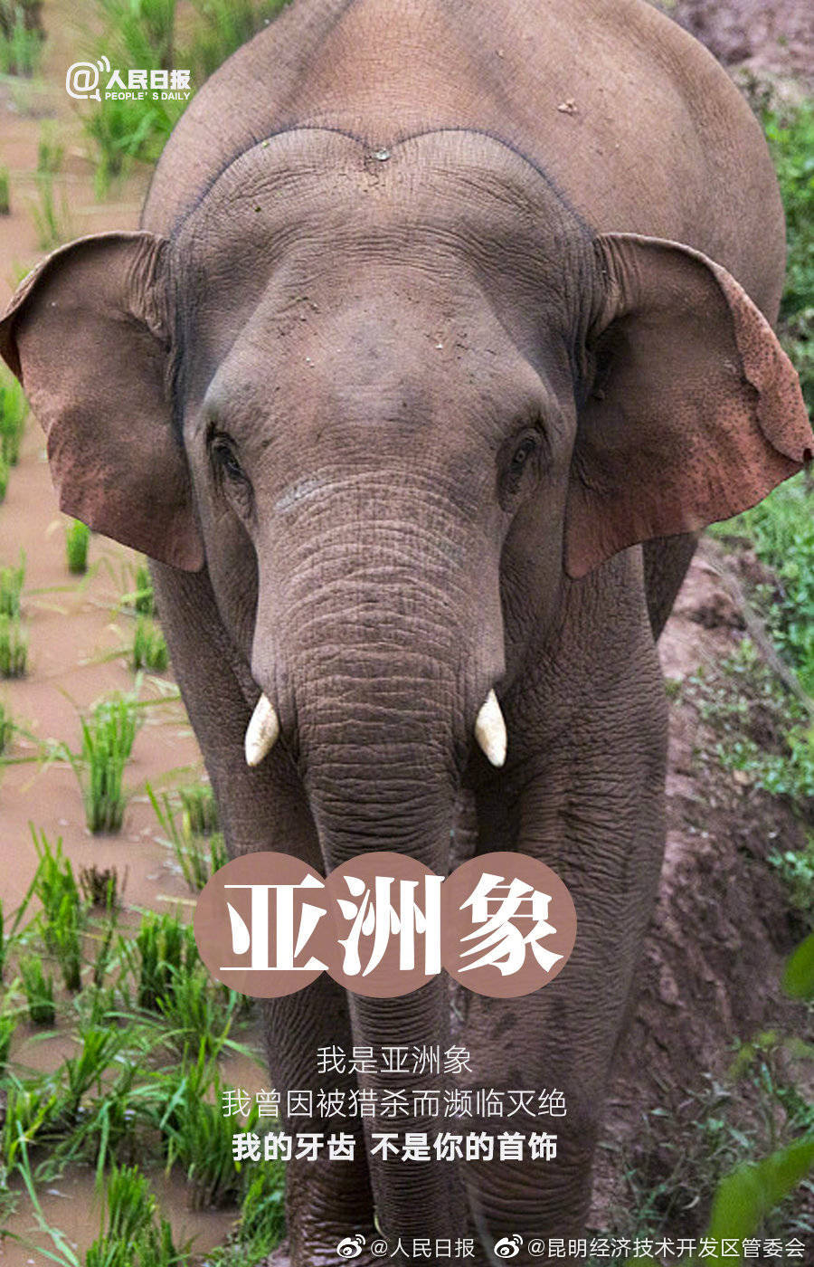 昆明经济技术开发区管委会