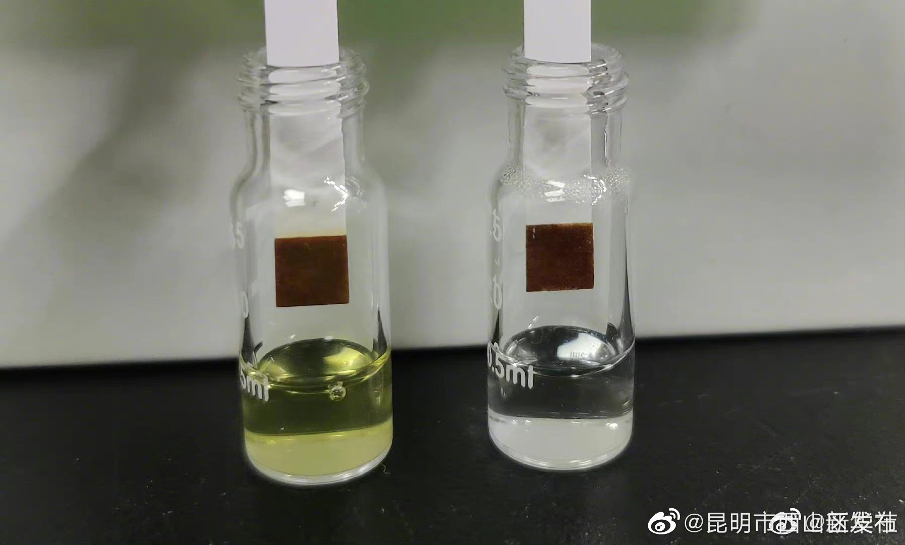 昆明市西山区发布