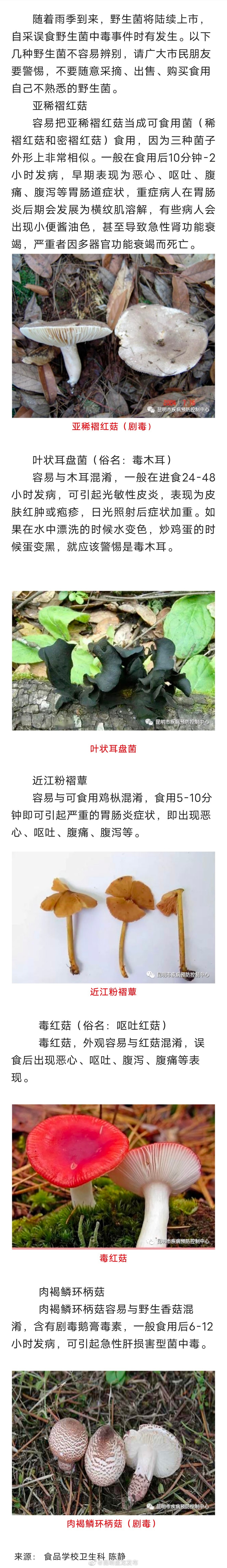 警惕容易误食的毒菌！