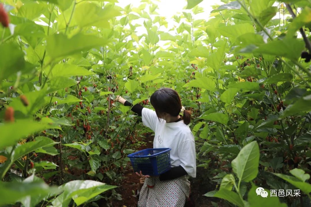 保山新闻网