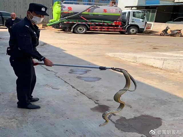 嵩明发布