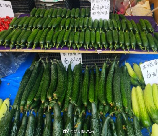 昆明信息港