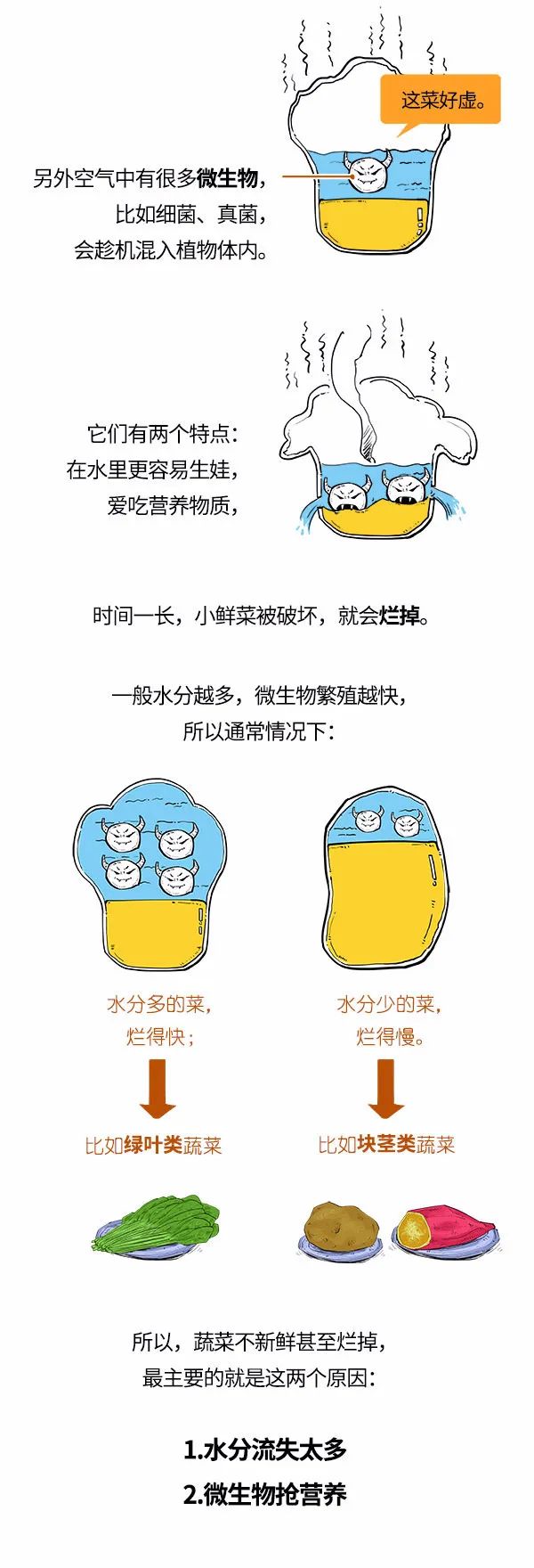 东川发布(微信)