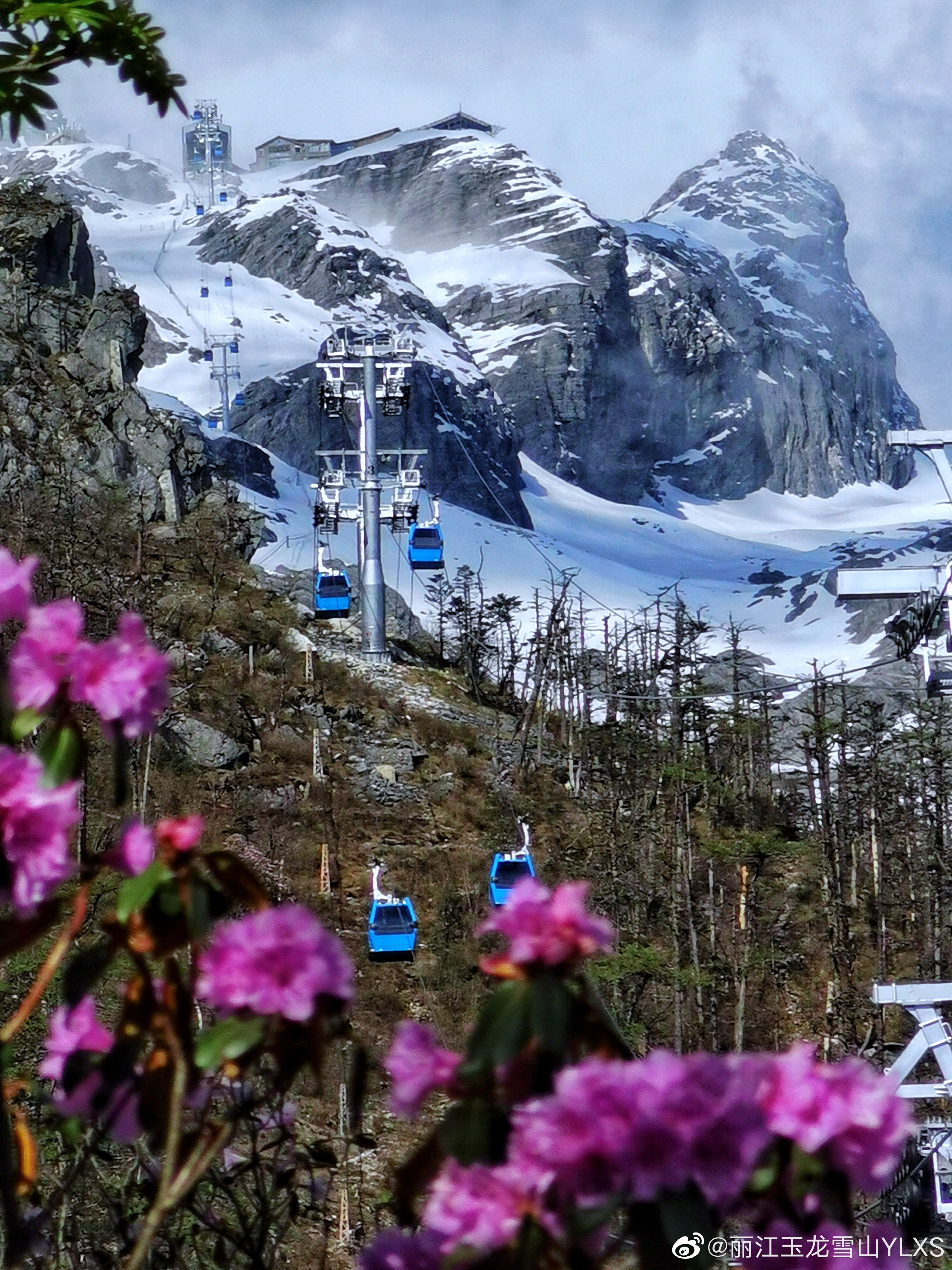 丽江玉龙雪山YLXS微博