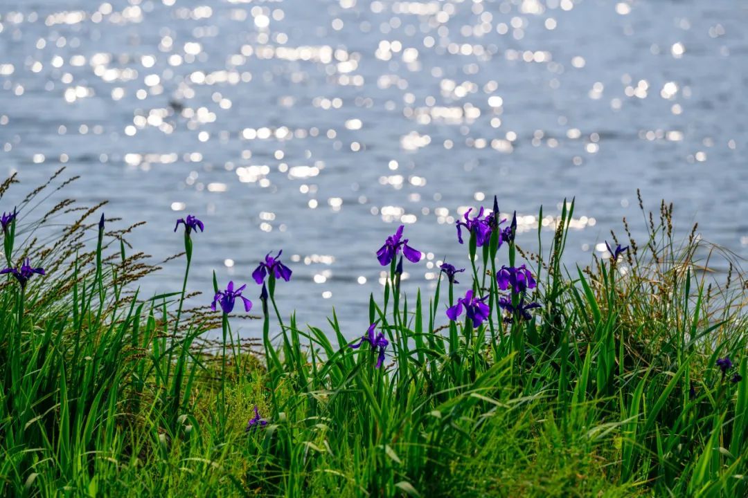云南省文化和旅游厅