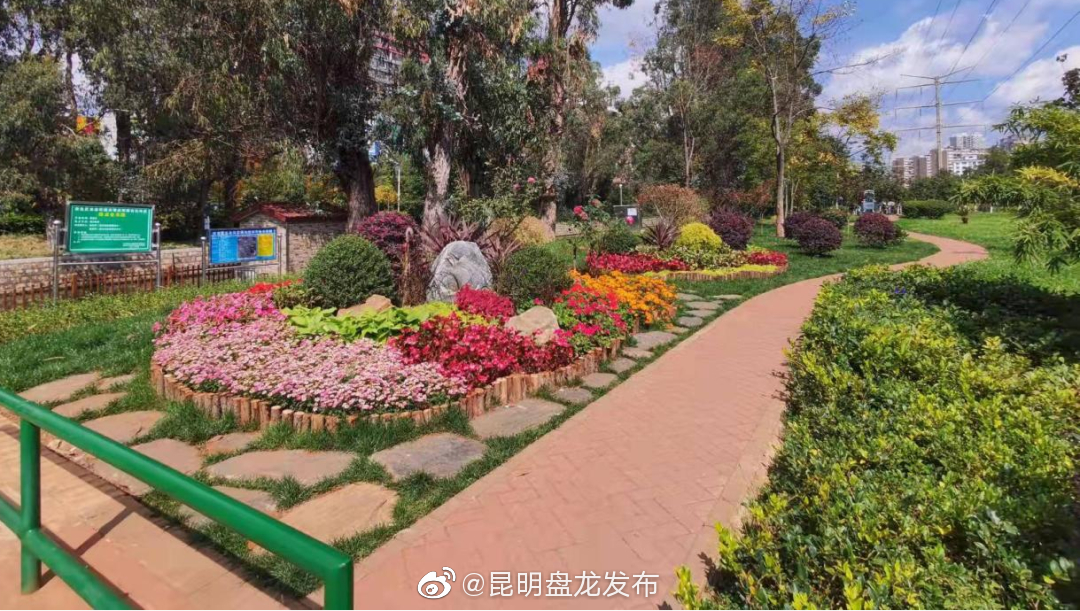 昆明盘龙发布