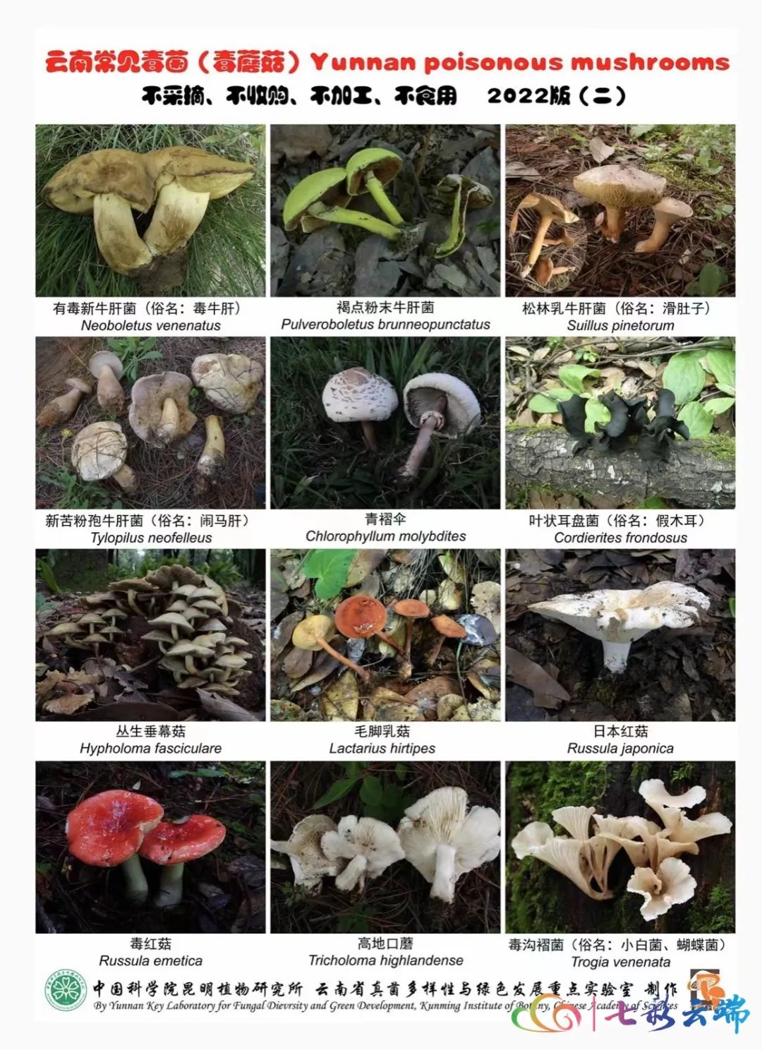 德宏广播电视台
