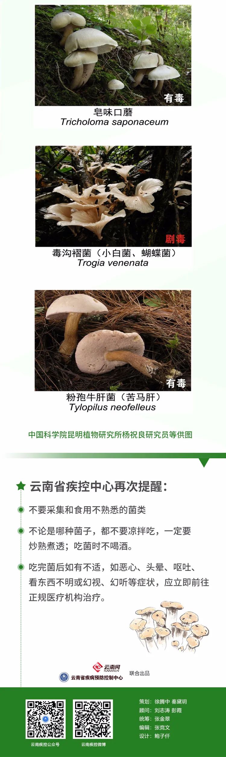 昆明发布