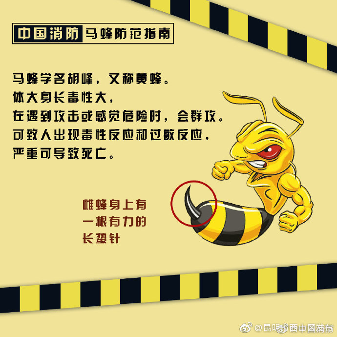 昆明市西山区发布