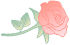大理电视台