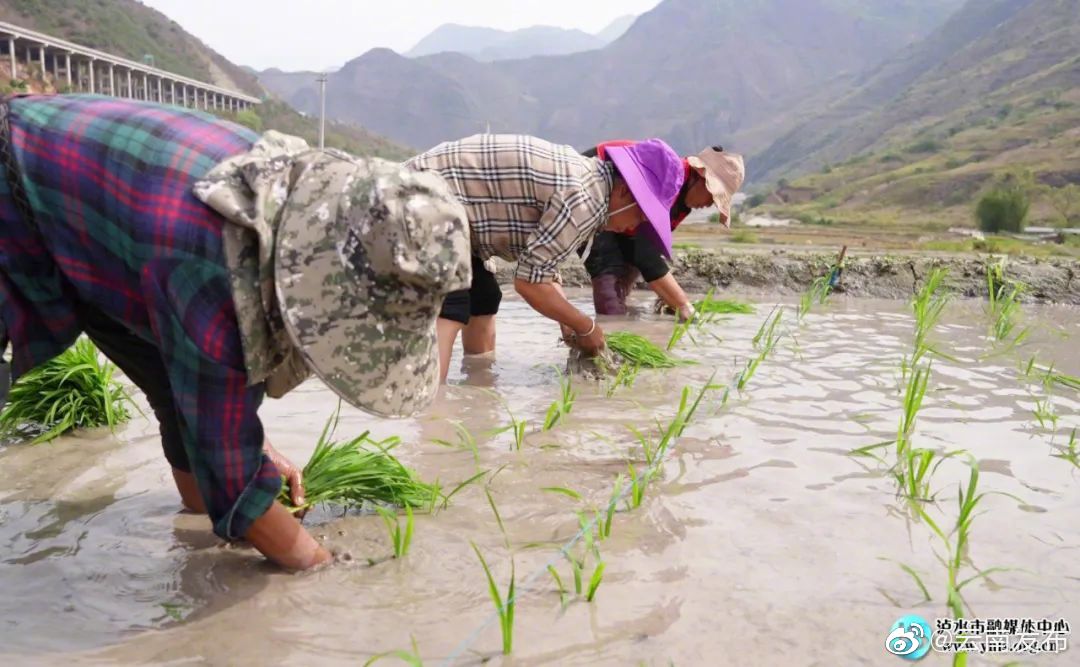 “云南发布”微博