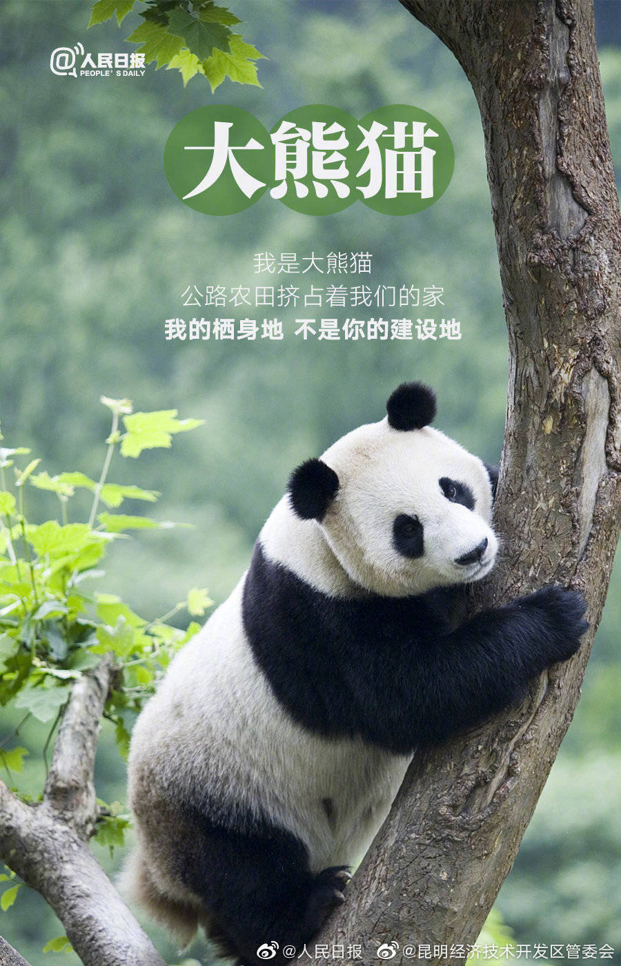 昆明经济技术开发区管委会