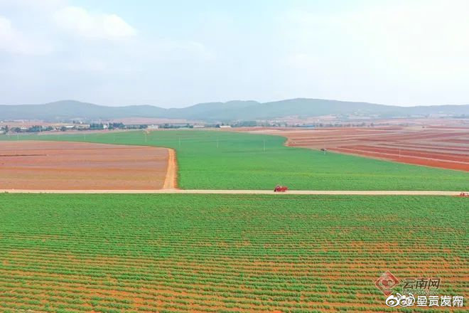 云南已播种秋粮516.9万亩，同比增13.8万亩