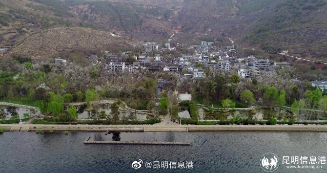 昆明信息港