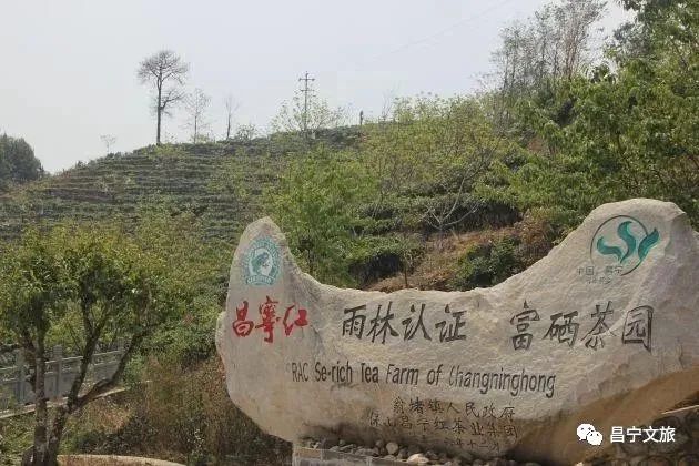 保山新闻网