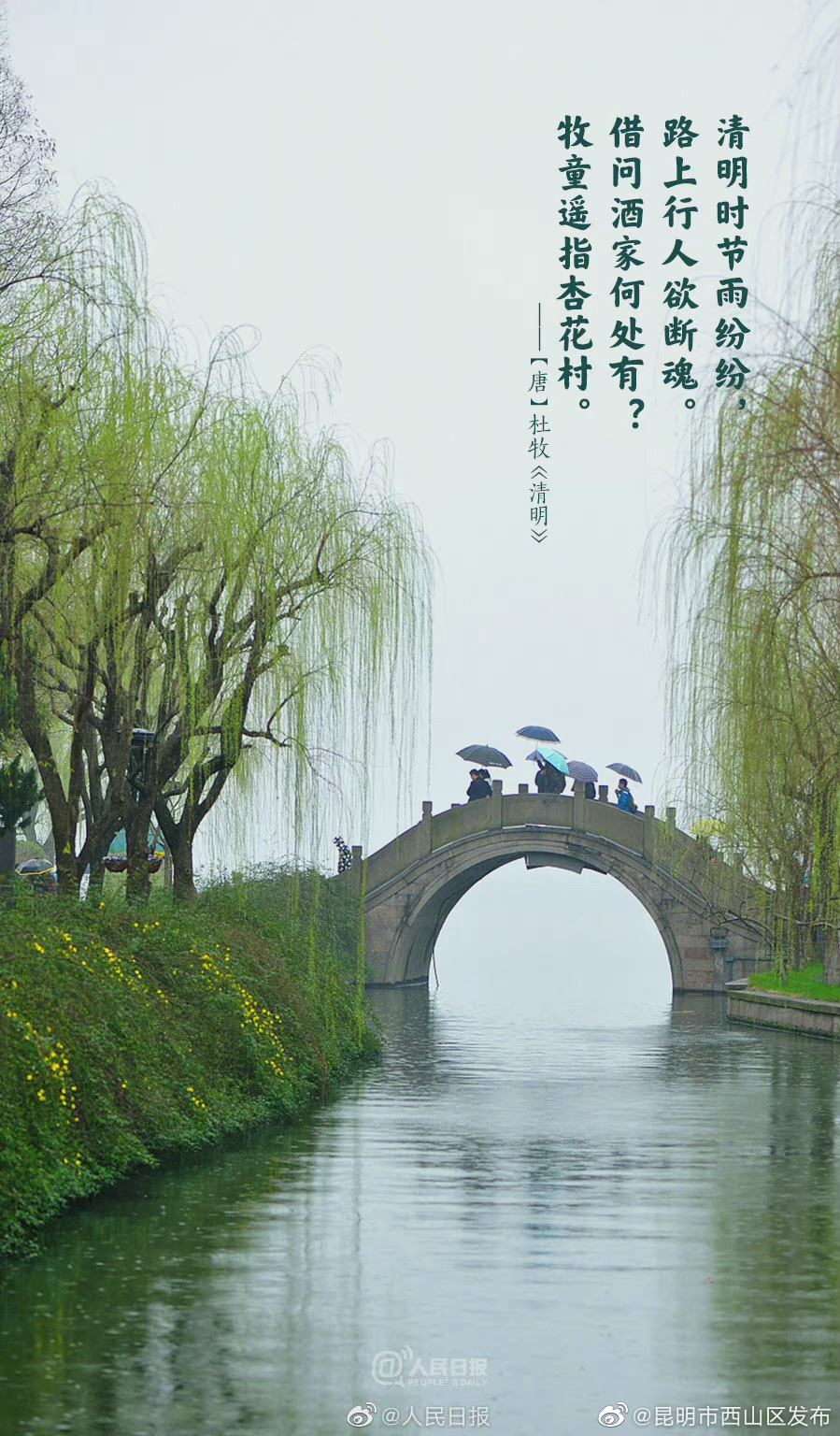 昆明市西山区发布