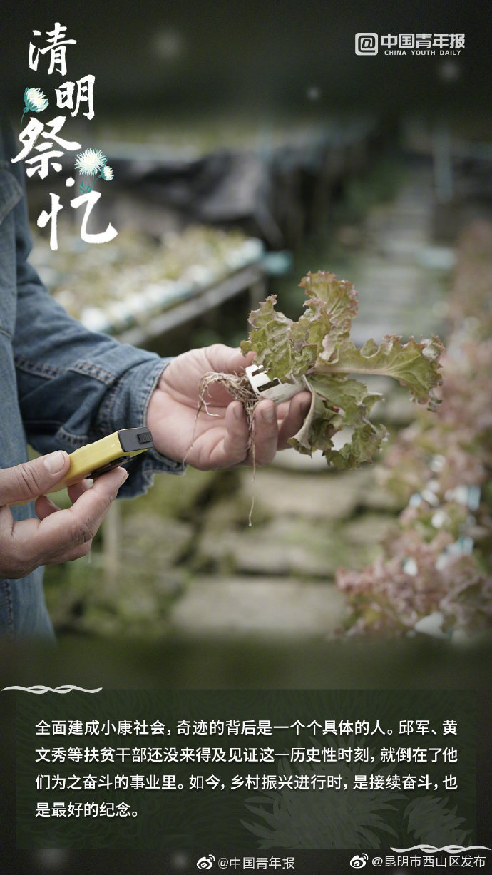 昆明市西山区发布