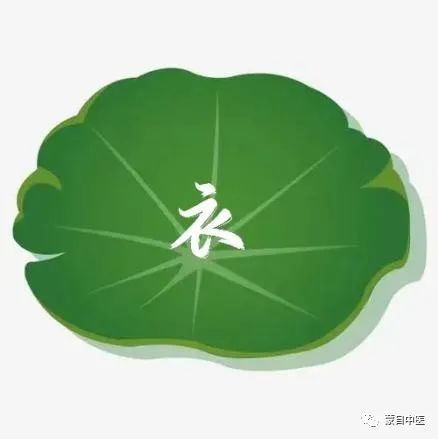 蒙自中医